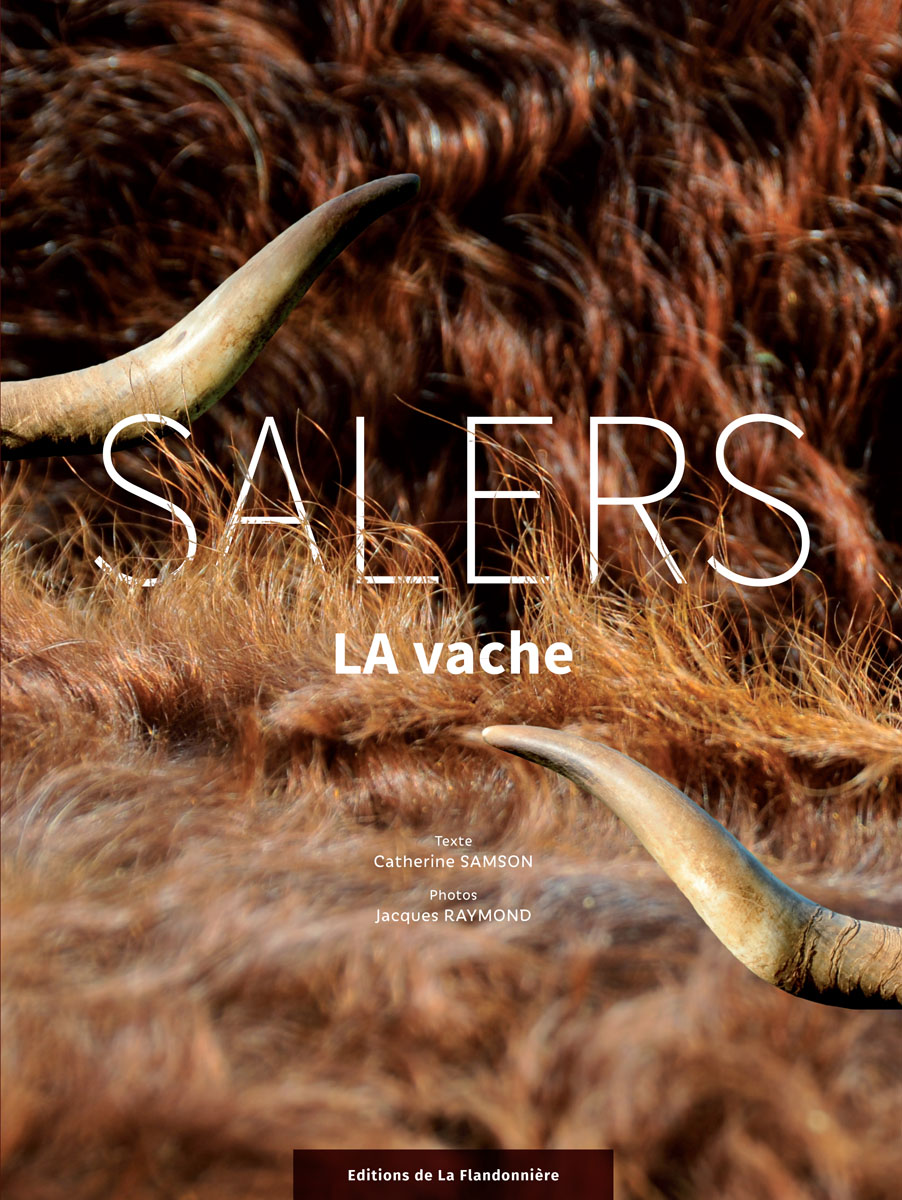 Salers, LA vache