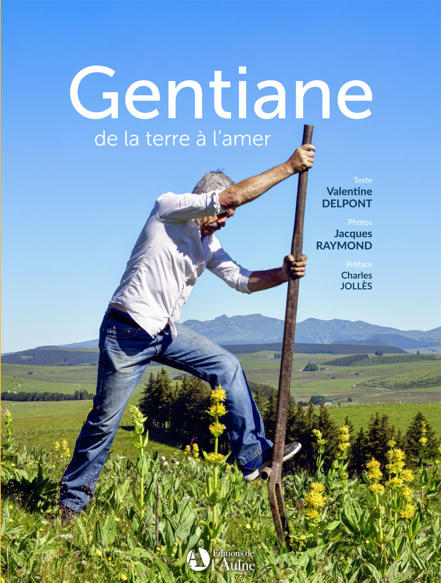 Gentiane de la terre à l’amer