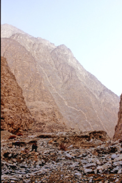 Montée vers la passe de Sanju entre Alinazar et Alinazarkhurgan.