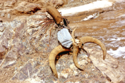 Divers objets entassés sur un cairn, peut-être pour porter bonheur sur la piste du col de Sanju.