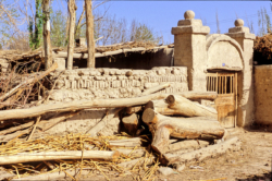 Maison typique ouigour dans l'oasis de Ruoqiang (Charklik).