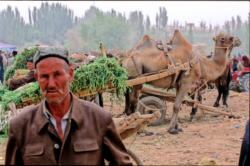 Chaque semaine, de très importants marchés voit affluer la foule venant des villages des environs ou des piémonts des Kunlun. Le plus traditionnel et important est celui de Khotan, et dans une moindre mesure, celui de Kashgar.