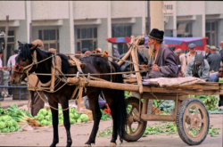 Chaque semaine, de très importants marchés voit affluer la foule venant des villages des environs ou des piémonts des Kunlun. Le plus traditionnel et important est celui de Khotan, et dans une moindre mesure, celui de Kashgar. La carriole est encore très utilisée.