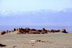 Ancienne cité de Miran, importante étape sur l'ancienne route de la soie et du jade, maintenant prise par les sables à quelques kilomètres de la nouvelle oasis.