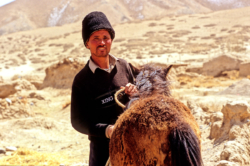 Portrait d'un Ouigour de l'oasis de Karasay (2950 mètres d'altitude), point de départ de la traversée des Kunlun par le col de Keriya, côté Xinjiang.