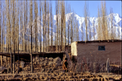 Chaîne des Kunlun vue de l'oasis de Yeyike (2600 mètres d'altitude), au sud de Niya (Minfeng).