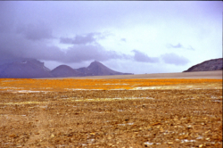 Paysage caractéristique de l'Aksai Chin avec un désert absolument plat à plus de 5000 mètres d'altitude sur la piste du massif du P7120 au Tibet.