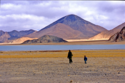 Petit lac entre le Panggong Tso et Domar, dans le Chang Thang.