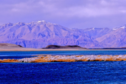 Lac Panggong Tso, longé par de très nombreux explorateurs du Tibet qui suivaient ses rives en provenance du Ladakh tout proche.